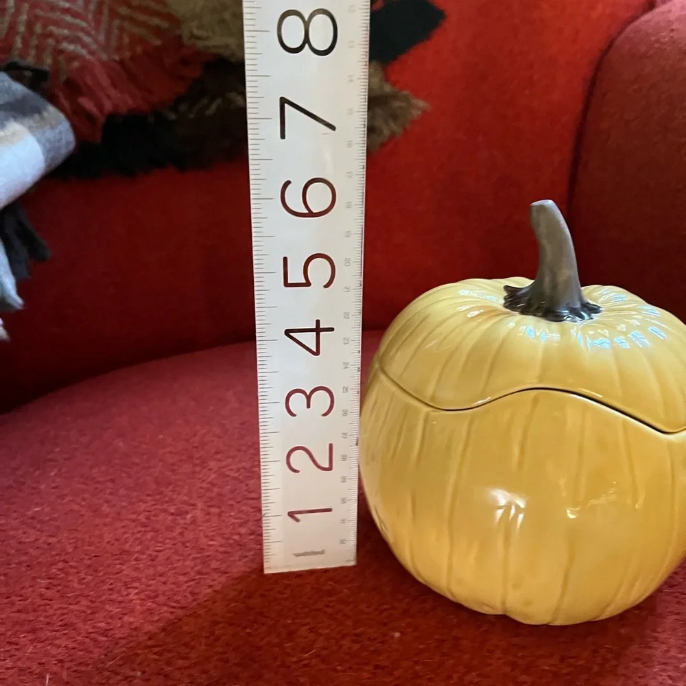 Crate&barrel pumpkin bowl with lid